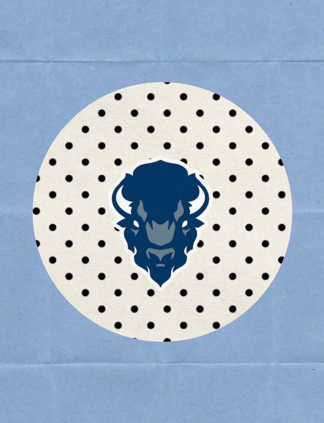 Howard Bison Polka Dot Pin